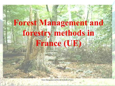 Forest Management and forestry methods in France Forest Management and forestry methods in France (UE)