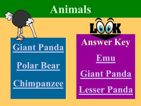 Animals Giant Panda Polar Bear Chimpanzee Answer Key Emu Giant Panda Lesser Panda.