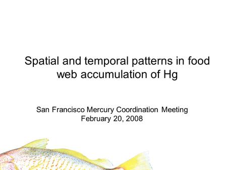 Spatial and temporal patterns in food web accumulation of Hg San Francisco Mercury Coordination Meeting February 20, 2008.