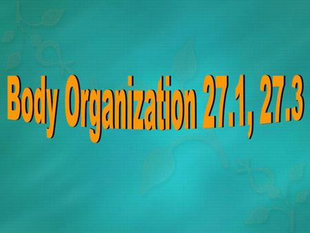 5 Levels of Organization- 1) The body-2) Organ systems-