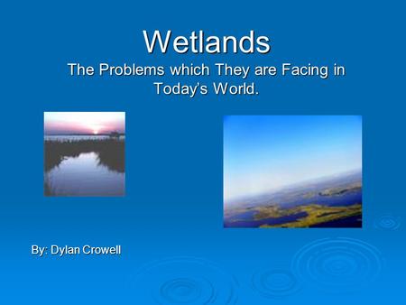 Wetlands The Problems which They are Facing in Today’s World. By: Dylan Crowell.