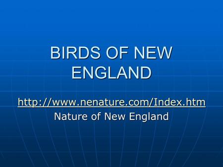 BIRDS OF NEW ENGLAND  Nature of New England.