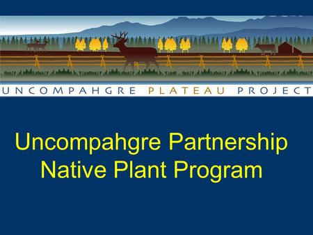 Uncompahgre Partnership Native Plant Program Landscape Scale Collaboration & Restoration in Western Colorado.