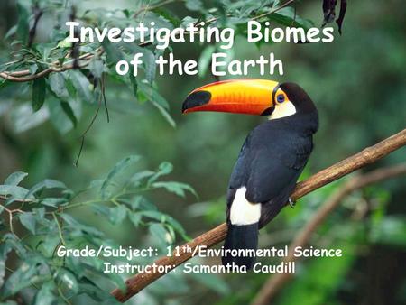 Investigating Biomes of the Earth Grade/Subject: 11 th /Environmental Science Instructor: Samantha Caudill.