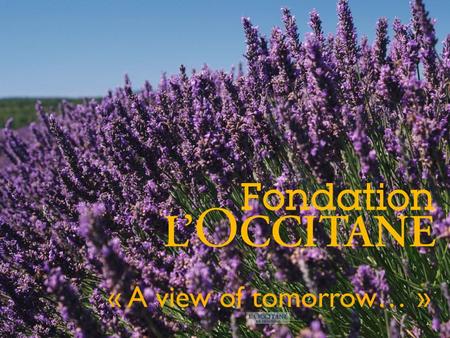 « A view of tomorrow… ». W HAT IS L’OCCITANE? L’Occitane is a COSMETIC Brand In Provence 2000 shops in more than 75 countries 30 years of commitment 1997: