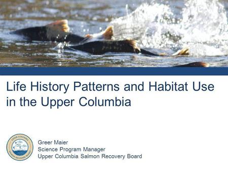 Life History Patterns and Habitat Use in the Upper Columbia Greer Maier Science Program Manager Upper Columbia Salmon Recovery Board.