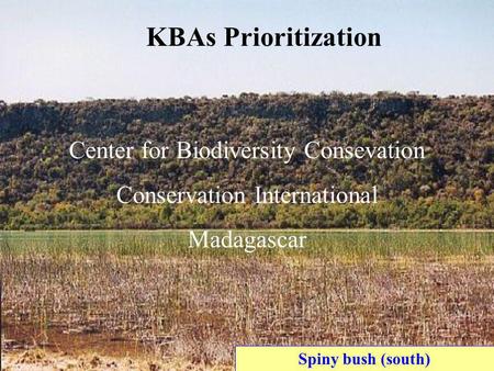 Spiny bush (south) KBAs Prioritization Center for Biodiversity Consevation Conservation International Madagascar.