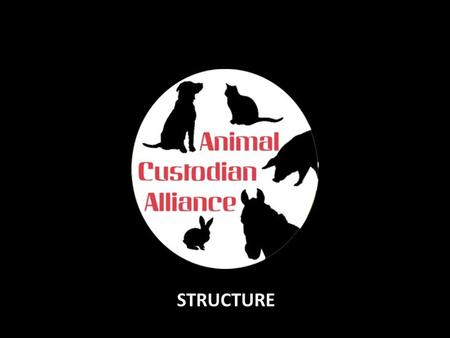 STRUCTURE. Nominate and Approve BOARD members Member Organisations (Sanctuary or Community Custodians) } } …and EMT members } Approve New Member Orgs.