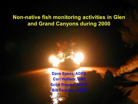 Non-native fish monitoring activities in Glen and Grand Canyons during 2000 Dave Speas, AGFD Carl Walters, UBC Scott Rogers, AGFD Bill Persons, AGFD.