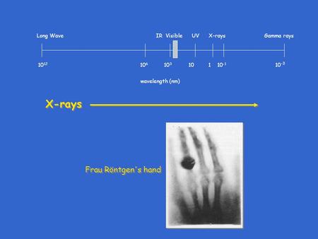 X-rays 10 12 10 6 10 3 10 1 10 -1 10 -3 Long Wave IR Visible UV X-rays Gamma rays wavelength (nm) Frau Röntgen's hand.