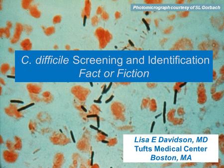Photomicrograph courtesy of SL Gorbach C. difficile Screening and Identification Fact or Fiction Lisa E Davidson, MD Tufts Medical Center Boston, MA.