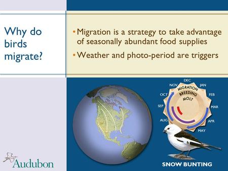Why do birds migrate? Migration is a strategy to take advantage of seasonally abundant food supplies Weather and photo-period are triggers DEC NOV JAN.