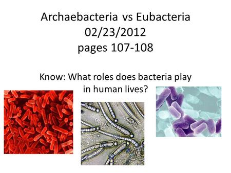 Archaebacteria vs Eubacteria 02/23/2012 pages