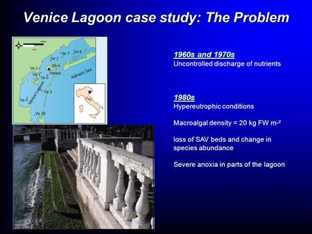 Venice Lagoon case study: The Problem 1960s and 1970s Uncontrolled discharge of nutrients1980s Hypereutrophic conditions Macroalgal density = 20 kg FW.
