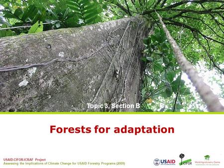 Forests for adaptation