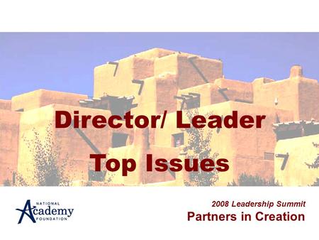 Director/ Leader Top Issues 2008 Leadership Summit Partners in Creation.