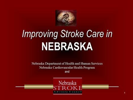 1 Improving Stroke Care in NEBRASKA Improving Stroke Care in NEBRASKA Nebraska Department of Health and Human Services Nebraska Cardiovascular Health Program.