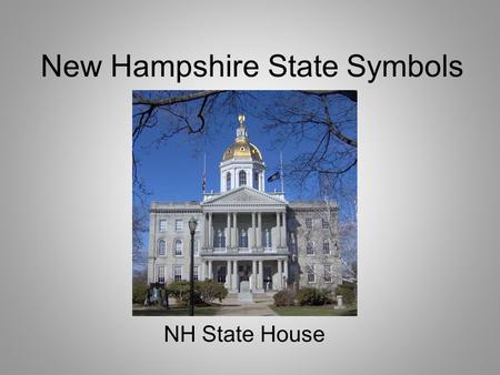 New Hampshire State Symbols NH State House. New Hampshire Flag Can you guess why there are nine stars around the state seal?