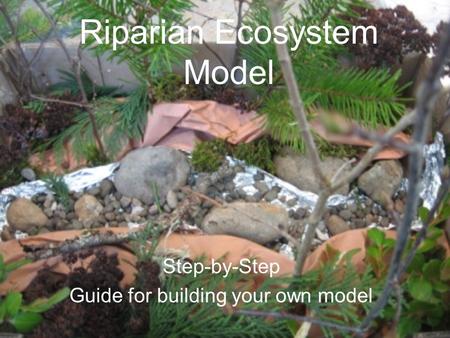Riparian Ecosystem Model