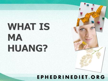WHAT IS MA HUANG?.