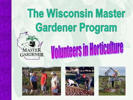 Initial Requirements To become a Master Gardener Volunteer: Turn in a background check form Complete 36 hours of training (i.e. twelve 3-hour sessions.