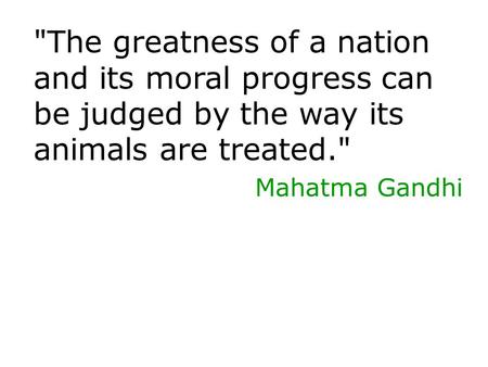The greatness of a nation and its moral progress can be judged by the way its animals are treated. Mahatma Gandhi.