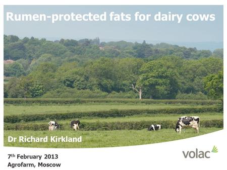 Rumen-protected fats for dairy cows