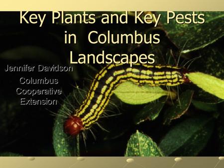 Key Plants and Key Pests in Columbus Landscapes