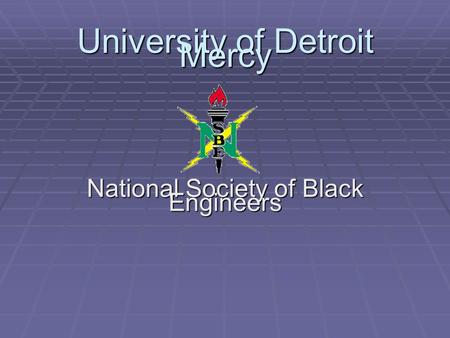 University of Detroit Mercy National Society of Black Engineers.