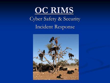 OC RIMS Cyber Safety & Security Incident Response.