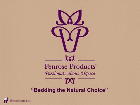 “Bedding the Natural Choice”. Agenda What do we do and what is our background Duvet, Pillow and Mattress Topper Construction & Fabrics Natural Fibres.
