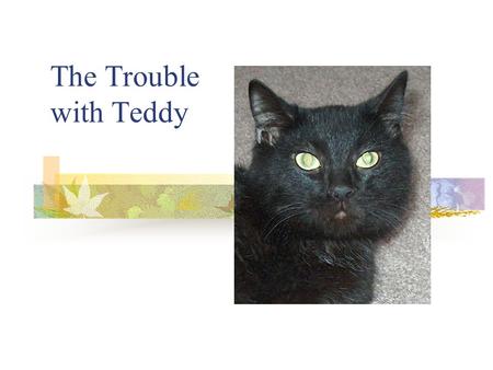 The Trouble with Teddy About Teddy, the Handicat… Ted is neurologically damaged. He is less than one year old. He has been in foster care for 4 months,