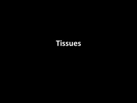 Tissues. Histology - the study of tissues There are four general classifications of human tissues, based on structure and function. Epithelial tissues.