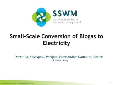 Small-Scale Conversion of Biogas to Electricity