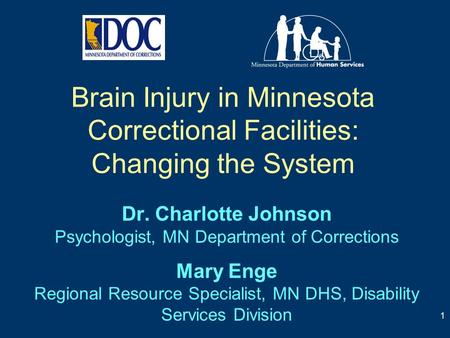 Brain Injury in Minnesota Correctional Facilities: Changing the System