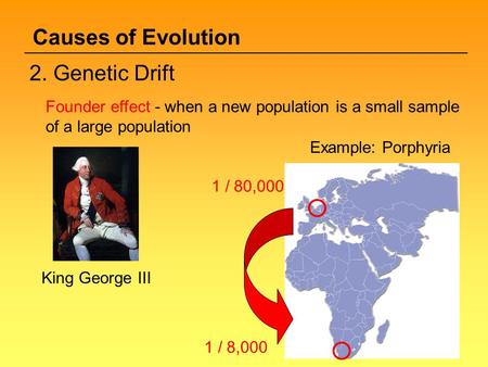 Causes of Evolution 2. Genetic Drift
