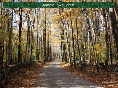 Temple Town Forest. Presented by: Temple Conservation Commission (TCC) Significant contributions and extracts from: Eric Foley (TCC member), Temple Town.