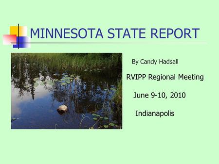 MINNESOTA STATE REPORT RVIPP Regional Meeting Indianapolis By Candy Hadsall June 9-10, 2010.