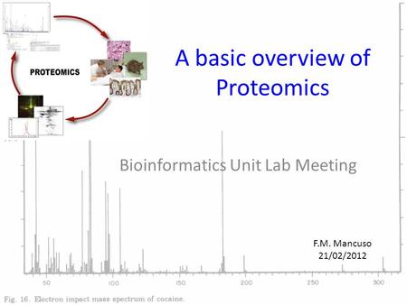 A basic overview of Proteomics Bioinformatics Unit Lab Meeting F.M. Mancuso 21/02/2012.