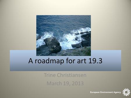 A roadmap for art 19.3 Trine Christiansen March 19, 2013.