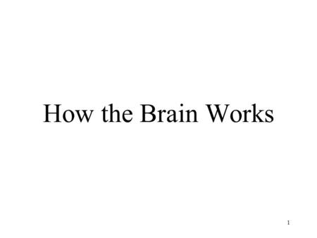 How the Brain Works 1. Background: The Synapse 2.