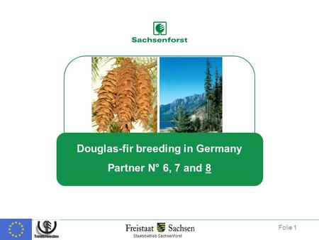 Douglas-fir breeding in Germany Partner N° 6, 7 and 8 Staatsbetrieb Sachsenforst Folie 1.
