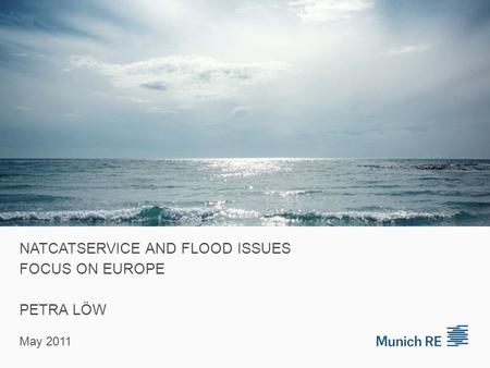 NATCATSERVICE AND FLOOD ISSUES FOCUS ON EUROPE PETRA LÖW May 2011.