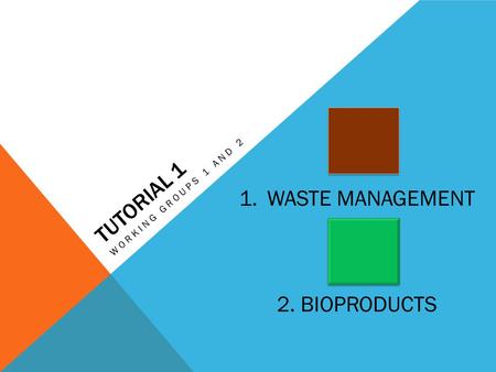 TUTORIAL 1 WORKING GROUPS 1 AND 2 1.WASTE MANAGEMENT 2. BIOPRODUCTS.