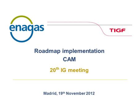 Madrid, 19 th November 2012 Roadmap implementation CAM 20 th IG meeting.