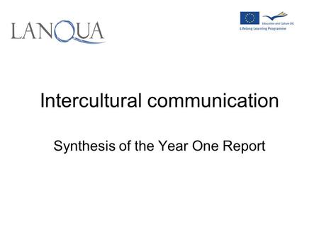 Intercultural communication Synthesis of the Year One Report.