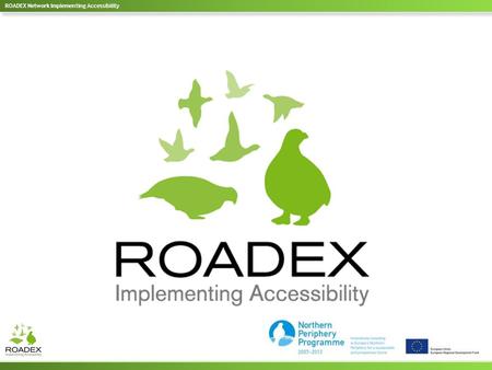 The ROADEX phases Facts Partners Consultancy and Knowledge Centre Demonstration Projects Research Projects eLearning Design Graphic design and creative.