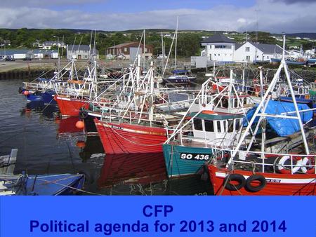 FISHERIES CFP Political agenda for 2013 and 2014.