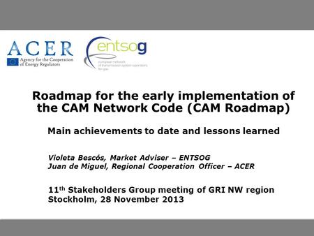Roadmap for the early implementation of the CAM Network Code (CAM Roadmap) Main achievements to date and lessons learned Violeta Bescós, Market Adviser.