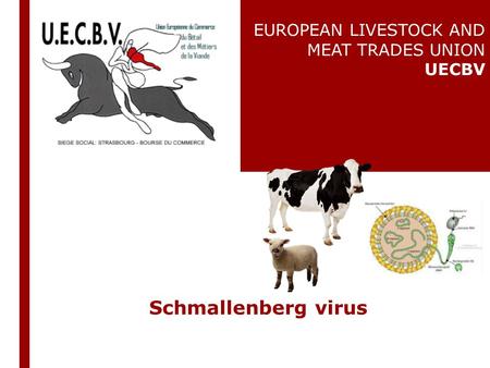 Schmallenberg virus EUROPEAN LIVESTOCK AND MEAT TRADES UNION UECBV.